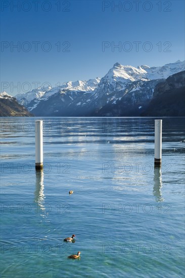 View from Brunnen over the Lake of Uri towards Flueelen