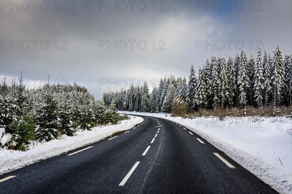 Winter road in a forest of firs in winter