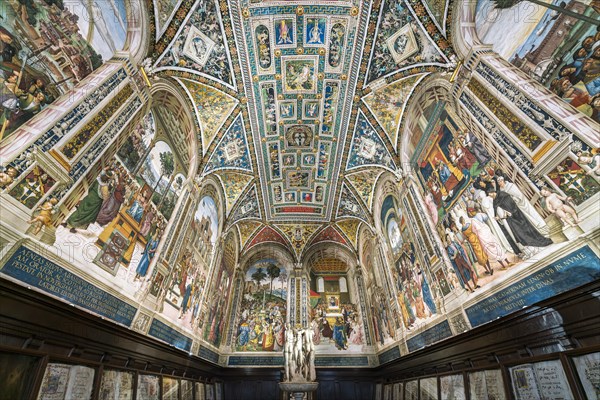 Vault and walls with frescoes on the life of Cardinal Enea Silvio Piccolomini