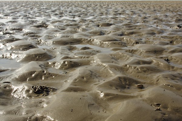 Wadden Sea in the North Sea