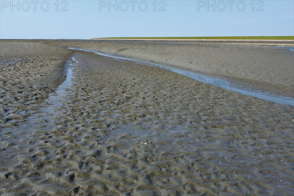 Wadden Sea in the North Sea