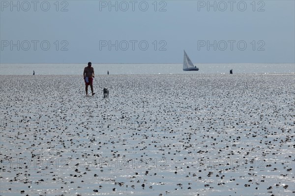 Wadden Sea in the North Sea