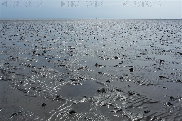 Wadden Sea in the North Sea