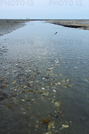 Wadden Sea in the North Sea