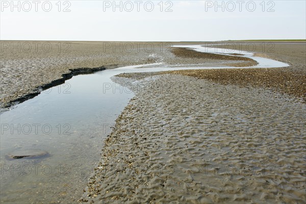 Wadden Sea in the North Sea