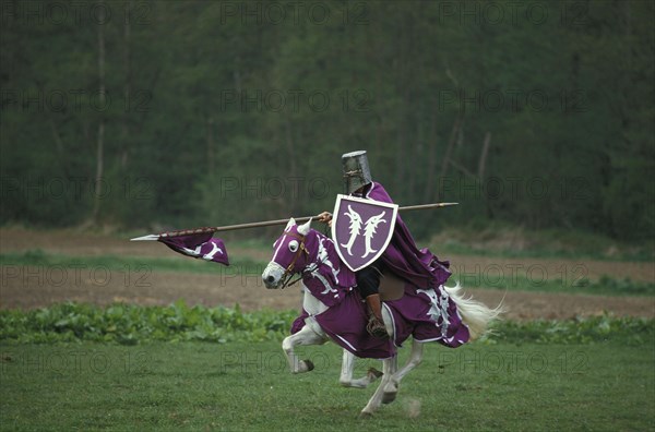 Medieval jousting tournament in France