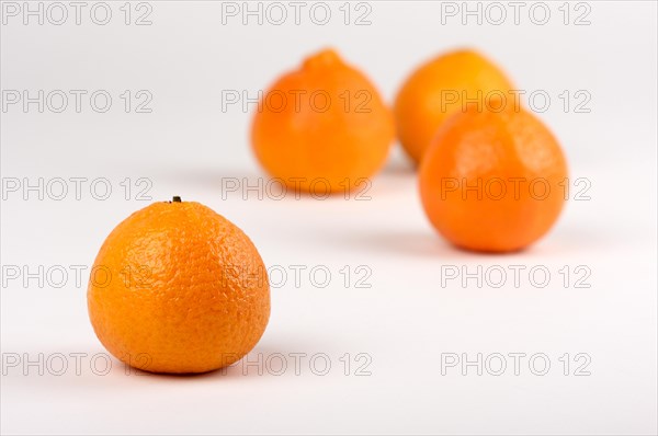 Clementine oranges on a white background