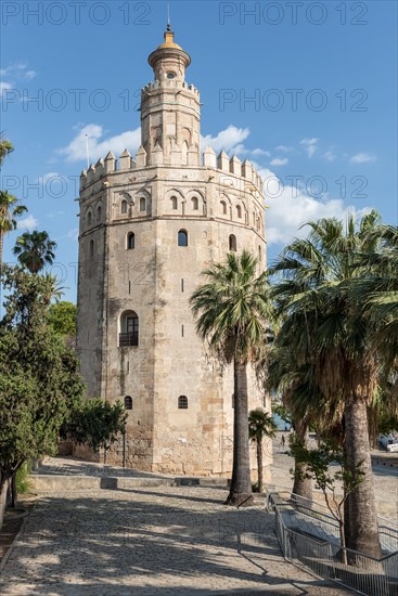 Torre del Oro