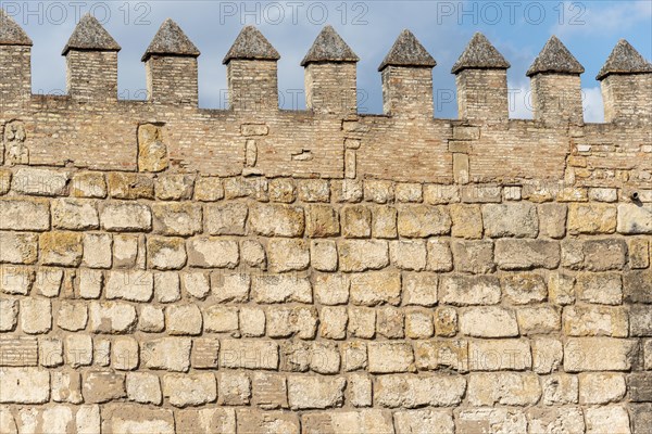 Wall with battlements
