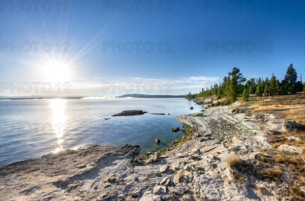 Shore of the West Thumb of Yellowstone Lake
