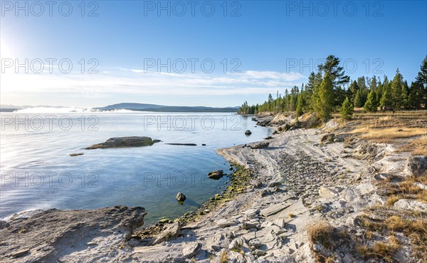 Shore of the West Thumb of Yellowstone Lake