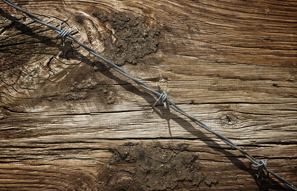 Aged wood texture and barbed wire macro background