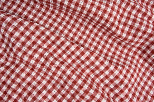 Red and white checkered picnic blanket detail - Photo12-imageBROKER