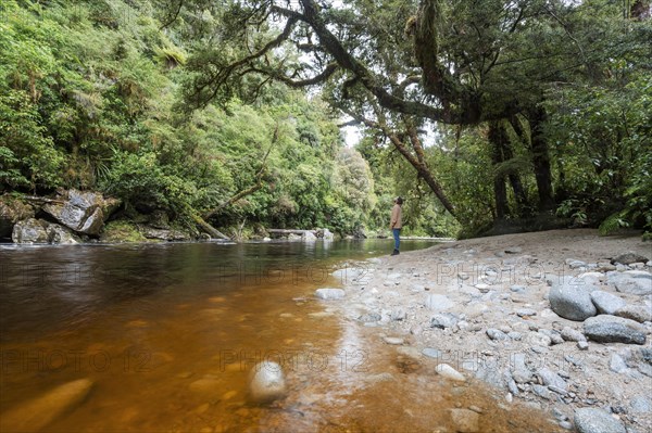 Guy at Oparara Basin