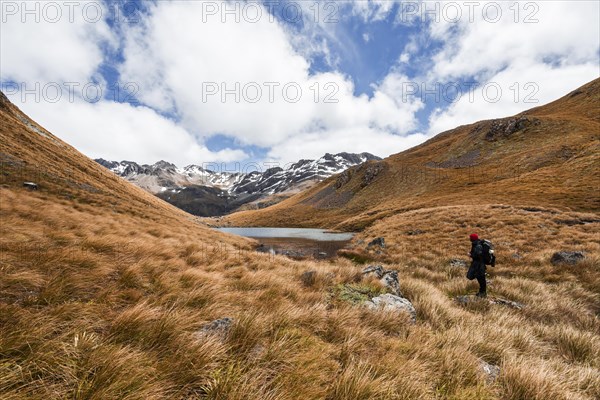 Hiker at Arthur's Pass