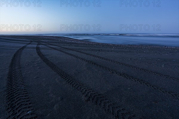 Tracks at beach