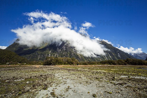 New Zealand