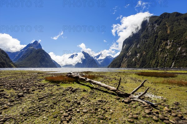 New Zealand