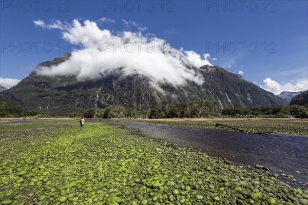 Guy at Milford Sound