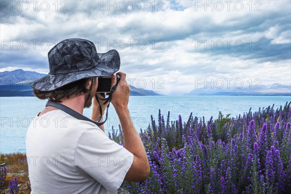 Guy with camera at a field of lupins (disambiguation)