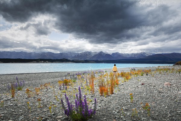 Guy at a beach at Lake Tekapo