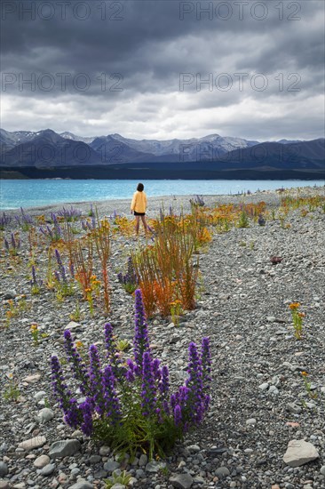 Guy at a beach at Lake Tekapo