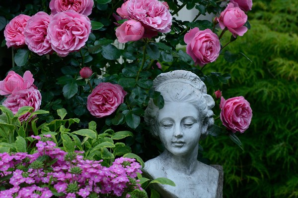 Female bust with roses