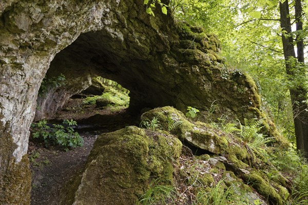 Passage cave at the Kuehstein