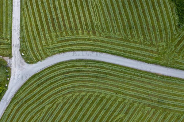 Crossroads with freshly mown fields