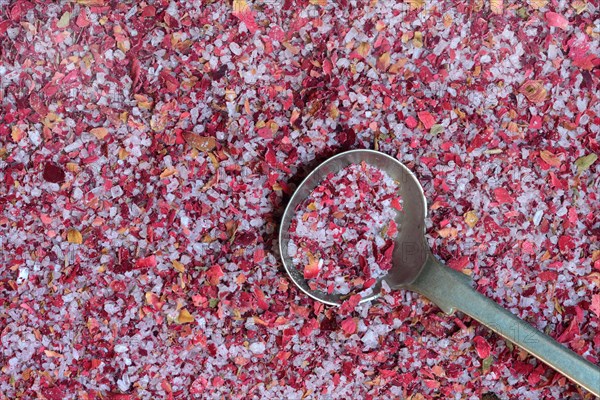 Rose salt with spoon
