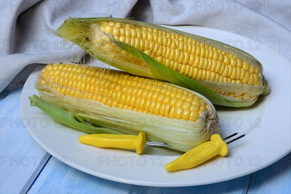 Corn corn cob and corn cob holder on plate