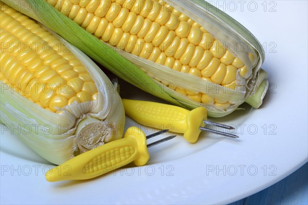 Corn corn cob and corn cob holder on plate