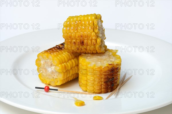 Grilled corn on the corn cob