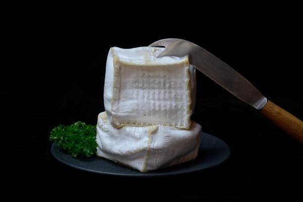 French soft cheese