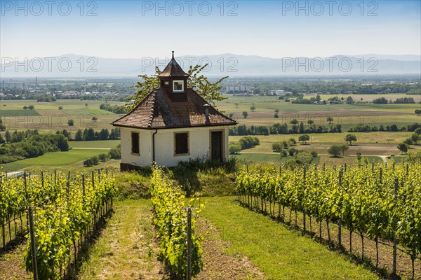 Chapel in the vineyard with view of Breisach and the Rhine plain