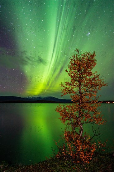 Northern lights above lake Tornetraesk