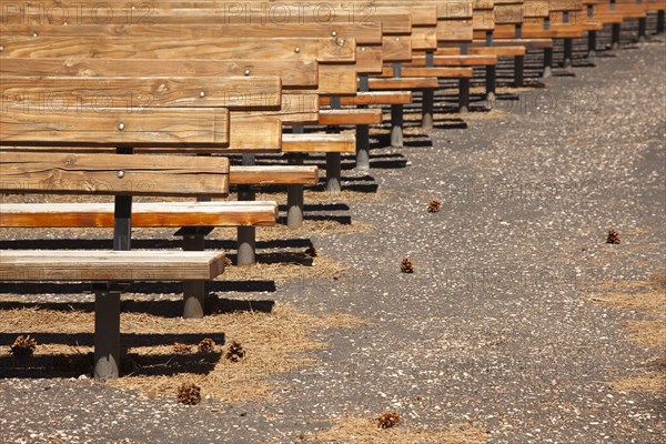 Outdoor wooden amphitheater seating and pine cones and pine needles abstract