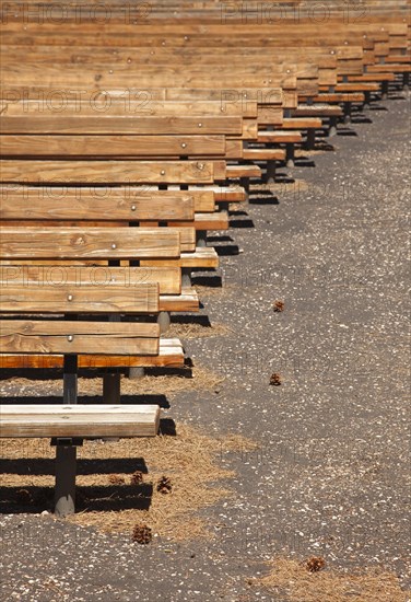 Outdoor wooden amphitheater seating and pine cones and pine needles abstract