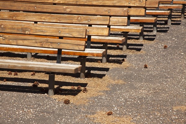 Outdoor wooden amphitheater seating and pine cones and pine needles abstract