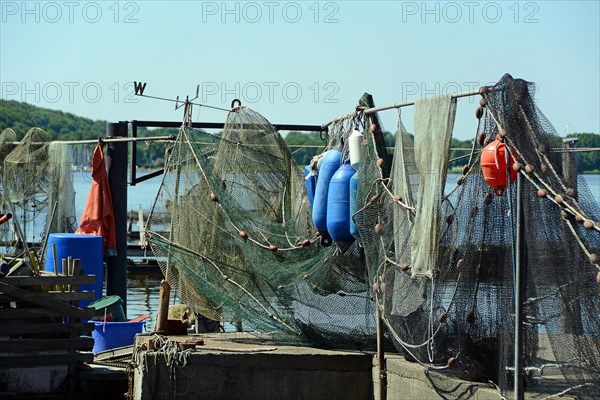 Fish traps