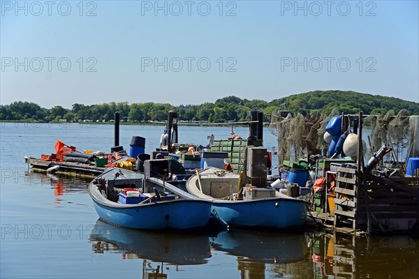 Fishing boats