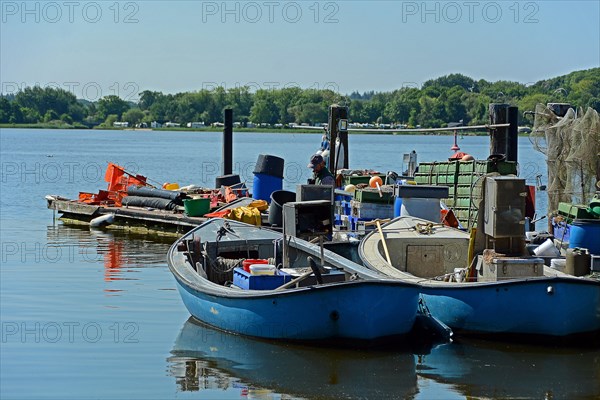 Fishing boats