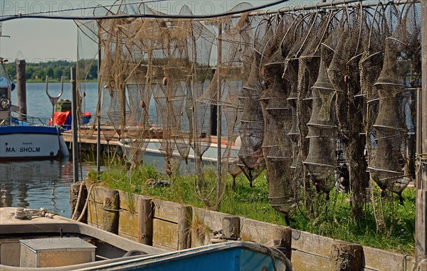 Fish traps