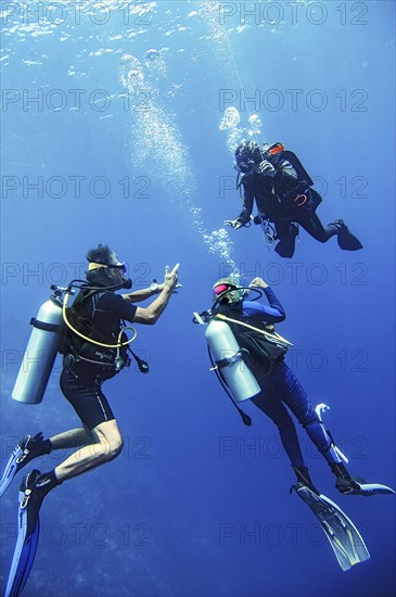 Divers discussing with dive guide while surfacing