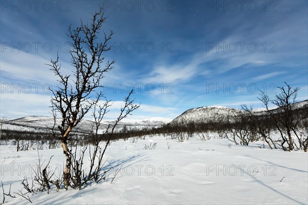 Polar night