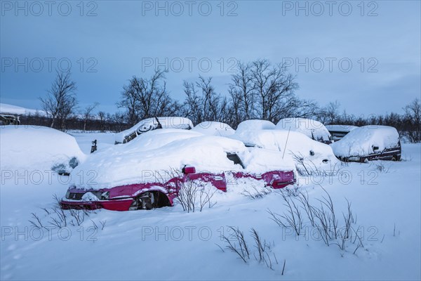 Snowed-in cars