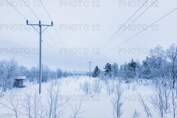 Electricity pylons