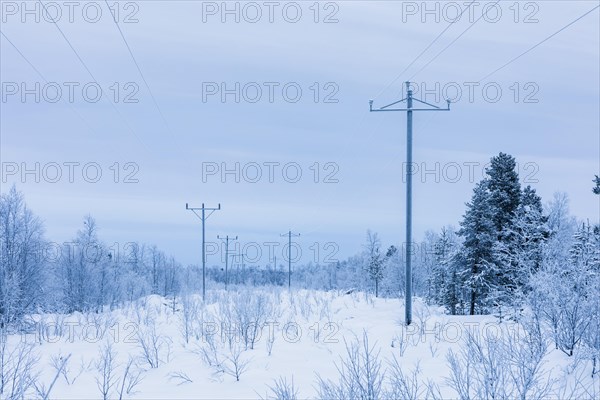 Electricity pylons