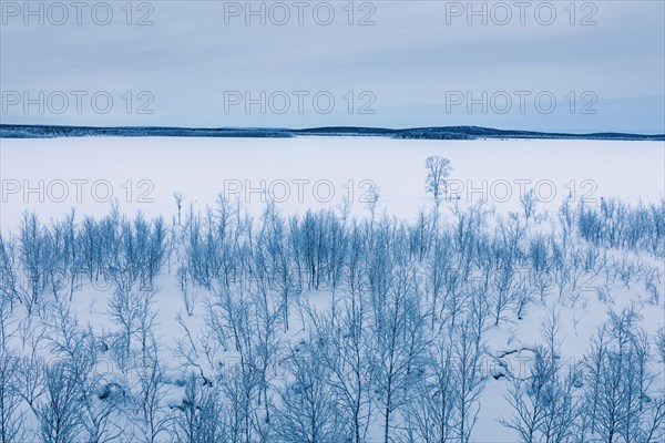 Winter landscape