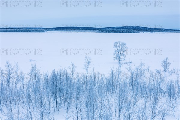 Winter landscape